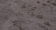 Dead Souls (Image via Icarus Films, Grasshopper Film)